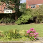 a garden with a bench and flowers at Havendale Accessible Holiday Cottage