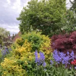 a garden with lots of flowers and trees at Havendale Accessible Holiday Cottage