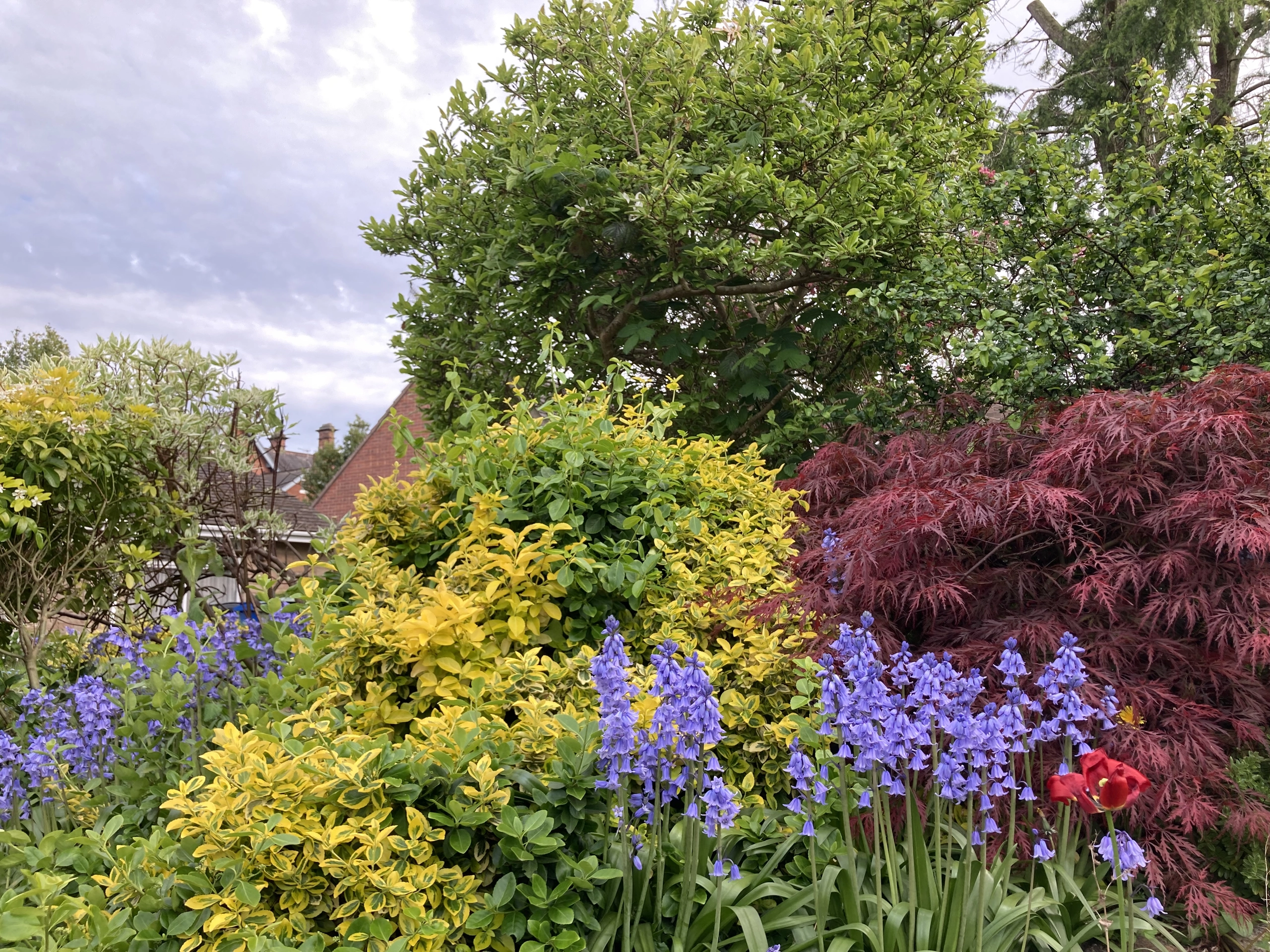 a garden with lots of flowers and trees at Havendale Accessible Holiday Cottage