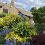 a house with a garden of flowers and plants at Havendale Accessible Holiday Cottage