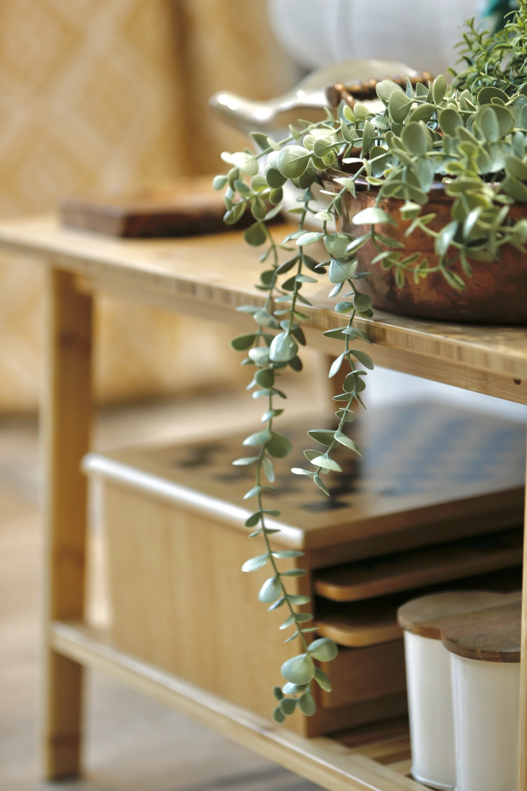 a plant on a table at Havendale Accessible Holiday Cottage