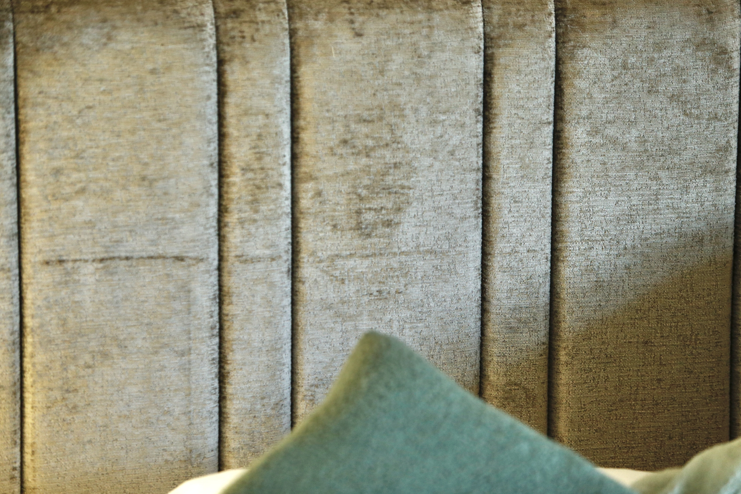 a cat sitting on a bed with a pillow at Havendale Accessible Holiday Cottage
