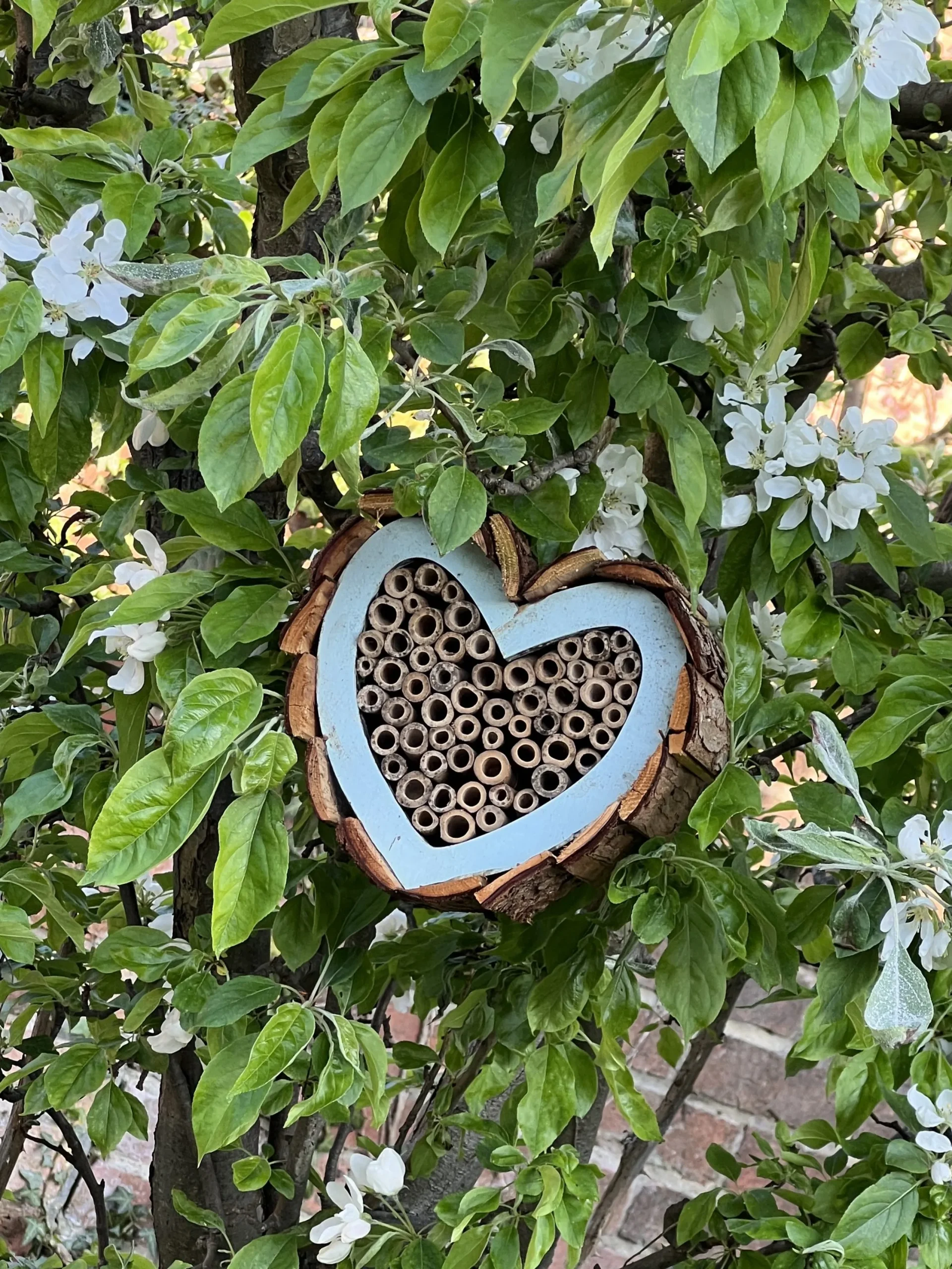 a heart shaped insect house hanging on a tree at Havendale Accessible Holiday Cottage